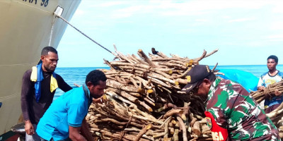 Semangat Kebersamaan, Babinsa Bantu Jemaat Angkut Kayu di Pelabuhan Numfor