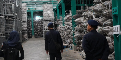 KKP Hentikan Sementara Operasional UPI di Denpasar untuk Lindungi Tahura Ngurah Rai