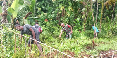 Babinsa Biak Barat Bantu Warga Bersihkan Kebun di Kampung Sarwa