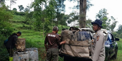 Perhutani Bandung Utara Kawal Angkutan Getah Pinus, Cegah Ilegalitas