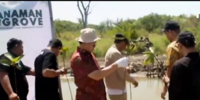 Prof. Rokhmin Dahuri: Gerakan Penanaman 1.000 Mangrove di Cirebon Langkah Nyata Selamatkan Pesisir Indonesia