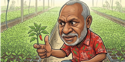 John Gluba Gebze Dorong Pembibitan Cabai-Tomat di Sota dan Wasur