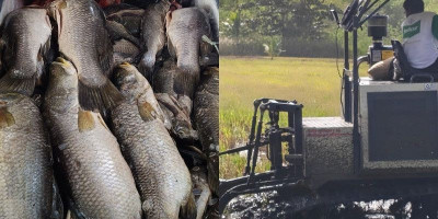 John Gluba Gebze Soroti Potensi Kampung dan Kebangkitan Ekonomi Marind