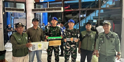 TNI AL dan BBKSDA Papua Barat Daya Gagalkan Upaya Penyelundupan Satwa Dilindungi 