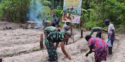 Manfaatkan Lahan Tidur, Satgas TMMD Ke-128 Kodim 1710/Mimika Tanam Jagung Bersama Warga