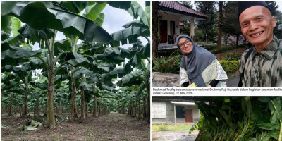 Dari Menabung Ayam Menuju Pertanian Organik Mandiri