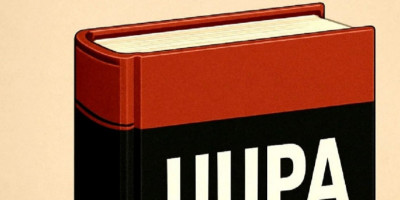 Revisi RUU PA,  Muncul Usulan  Pembentukan Badan Koordinasi Dana Otsus