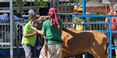 Masjid Ar-Rahmah Duta Mekar Asri Gelar Qurban, Perkuat Kepedulian dan Kebersamaan Warga