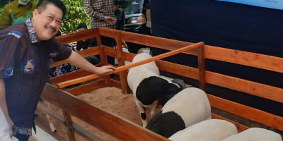 UPZ IKA Unpad Salurkan Daging Kurban Premium untuk Warga Sekitar Kampus