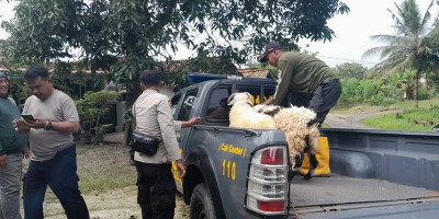 Iduladha 1447 H, PPLI Tebar Hewan Kurban untuk Warga Sekitar Operasional di Bogor