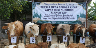 Kurban Kepala Desa Hormati Para Pendahulu