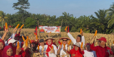 Panen Ikan dan Jagung di Palas, Prof. Rokhmin Dahuri: PDIP Lampung Perkuat Kedaulatan Pangan dari Desa
