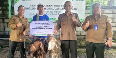 Perhutani Bandung Utara Berbagi Hewan Kurban untuk Penyadap Getah Pinus