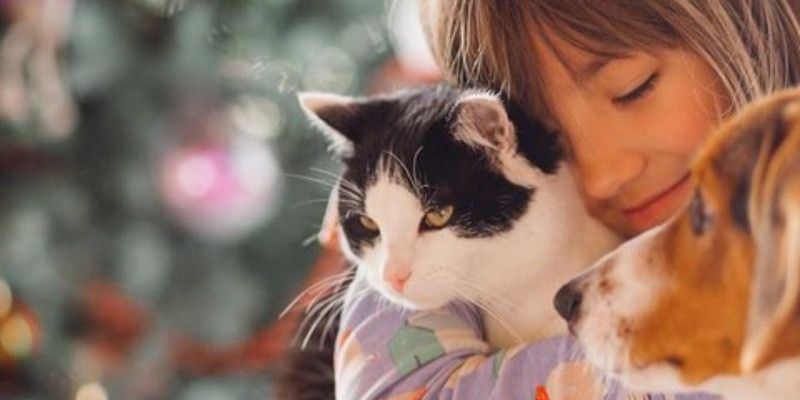 Psikoanalisis Piara Anjing dan Kucing