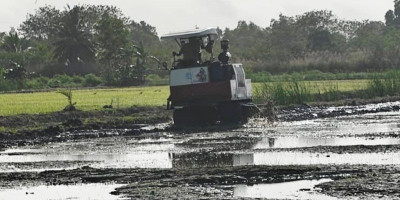 Johanes Gluba Gebze: Transformasi Pangan Papua Selatan Dimulai dari Wasur II