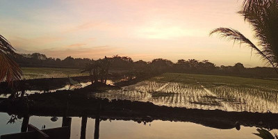 John Gluba Gebze: Fajar Wasur Simbol Harapan dari Ujung Timur Indonesia