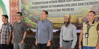 Aceh Tengah Mulai Bentuk Kebun Induk Kopi Arabika Gayo