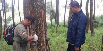 Perhutani dan Polisi Perkuat Patroli Gabungan Cegah Karhutla di Bandung Utara
