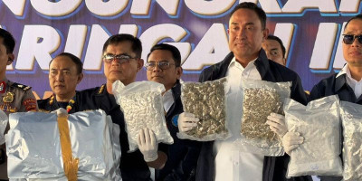 Bea Cukai-BNN Gagalkan 3,37 Ton Ganja Thailand di Tanjung Priok