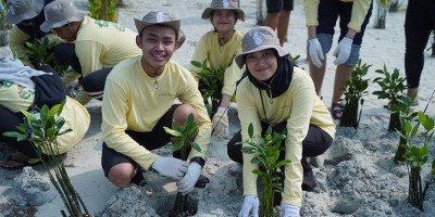 PHI Tanam 1.500 Mangrove dan Lamun di Pulau Pari