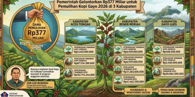 Pemerintah Gelontorkan Rp377 Miliar untuk Pemulihan Kopi Gayo 2026 di 3 Kabupaten