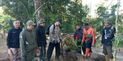 Perhutani dan BPBD Subang Tanam 50 Pohon Jaga Kelestarian Wisata Catang Angkong