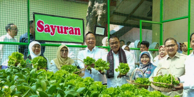 Sekolah, Lingkungan Hidup Ketahanan Pangan dan Jalan Tengah Pembangunan