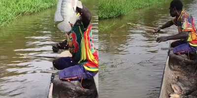 Sungai dan Laut Merauke Melimpah Ikan, Tradisi Memanah dari Sampan Tetap Bertahan