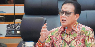 Penyelundupan Benih Bening Lobster Bocor Rp16 Triliun per Tahun, Prof Rokhmin Dahuri Desak Presiden Turun Tangan