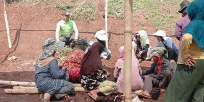 Perhutani Bandung Utara Percepat Produksi Bibit untuk Dukung Rehabilitasi Hutan