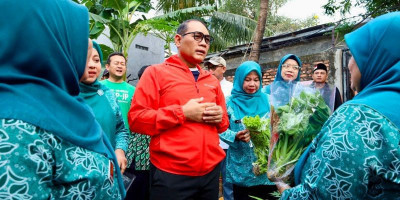 Arifin Panen Cabai di Paseban, Urban Farming Jadi Sarana Edukasi dan Ketahanan Pangan