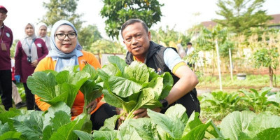 Munjirin Ajak Manfaatkan Lahan Kosong untuk Pertanian