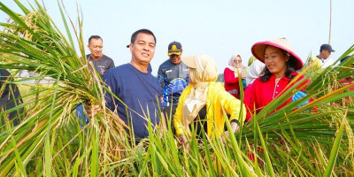 Wali Kota Munjirin Ajak Warga Optimalkan Pekarangan untuk Dukung Ketahanan Pangan