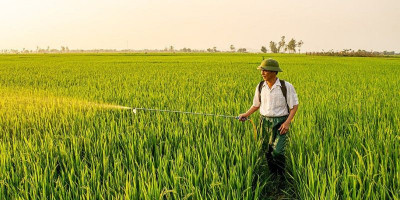 Realisasi Baru 12,3 Persen, Program Pemulihan Sawah Aceh Rp380 Miliar Terus Dikebut