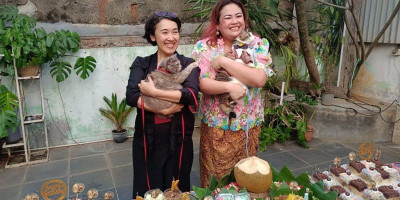 Bebeck Genap 10 Tahun, Komunitas Pencinta Kucing Rayakan dengan Cara Berbeda