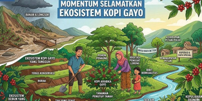 Banjir dan Longsor Aceh Tengah, Momentum Selamatkan Ekosistem Kopi Gayo