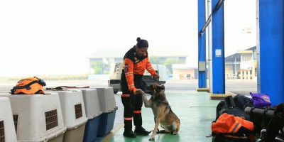 Polri Kembali Kirim Tim SAR dan Bantuan Logistik untuk Percepat Penanganan Gempa NTT