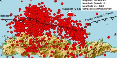 Ribuan Gempa Susulan Guncang Flores, 53 Orang Tewas
