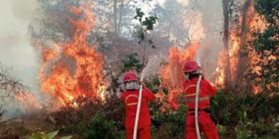 Pemerintah Diminta Segera Audit Korporasi  yang  Terlibat Karhutla 