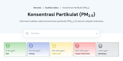 Udara Berbahaya Mengancam Sejumlah Kota, Sintang dan Mempawah Tembus 400 µg/m³