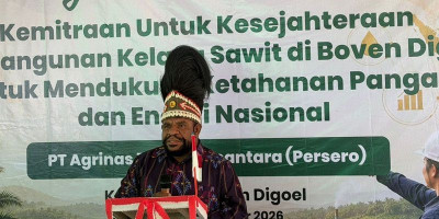 Agrinas Palma Dorong Kemitraan Sawit di Boven Digoel
