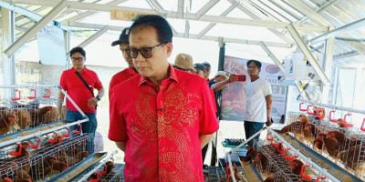 Kawal Bantuan Pusat di Cirebon, Prof. Rokhmin Ingatkan Penerima Bantuan Ayam Petelur: Sekali Dibantu Harus Berhasil!