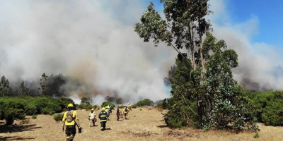 Asap Karhutla Menebal, Kualitas Udara Sejumlah Wilayah Masuk Zona Bahaya