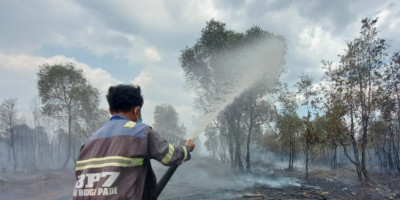 Komisi IV DPR Soroti Karhutla: Usman Husin Tegaskan Pelaku Pembakaran Hutan Harus Diberi Efek Jera
