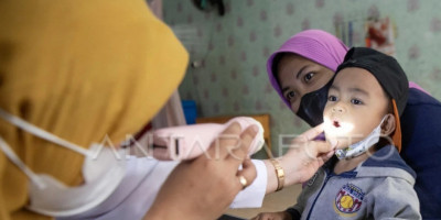 Demi Selamatkan Balita dari ISPA, Irma  Minta Pemerintah Tetapkan Karhutla sebagai KLB