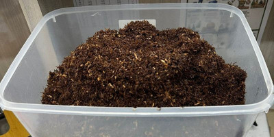 Polsek Pademangan Ungkap Dugaan Peredaran Tembakau Sintetis 800 Gram