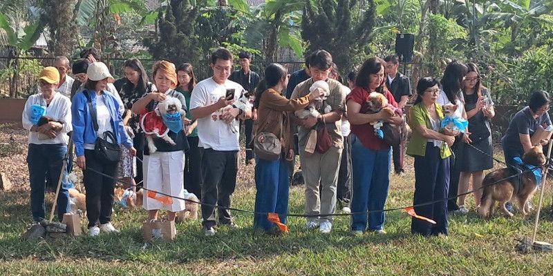Anjing, Kucing hingga Ular, Diberkati di Gereja