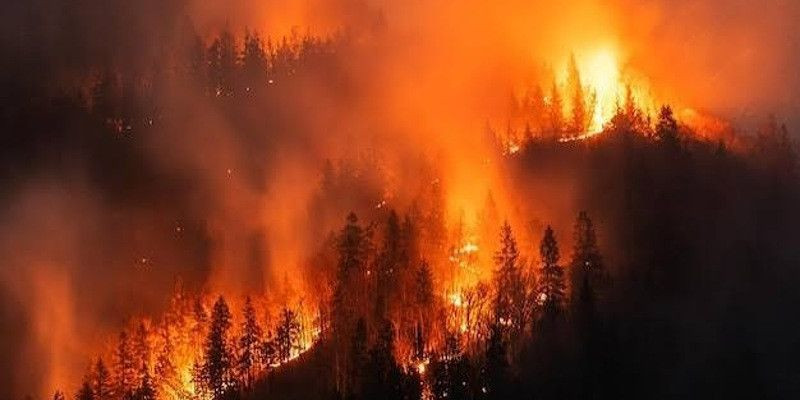 Udara Memburuk, Lima Wilayah Tembus Kategori Berbahaya