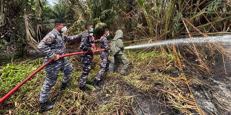 Tim Penanggulangan  Kebakaran Kodaeral XIV Berhasil Padamkan Karhutla di Lahan Gambut  