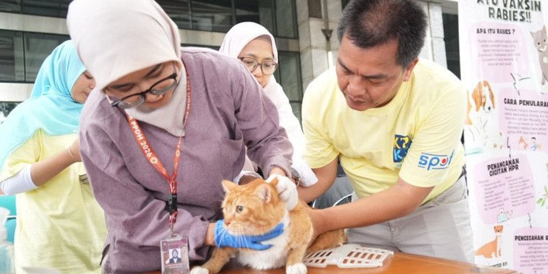 Antusiasme Warga Membludak, Jakarta Timur Gelar Vaksinasi Rabies dan Sterilisasi Gratis